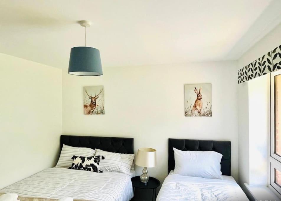 Ashford Retreat - Luxury Home With Double Parking Zewnętrze zdjęcie