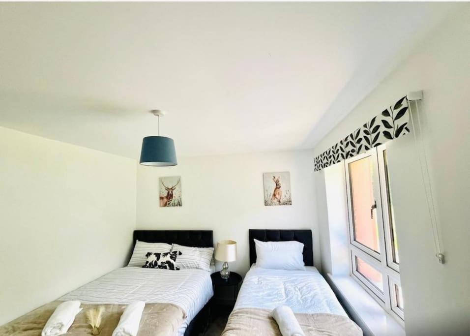 Ashford Retreat - Luxury Home With Double Parking Zewnętrze zdjęcie